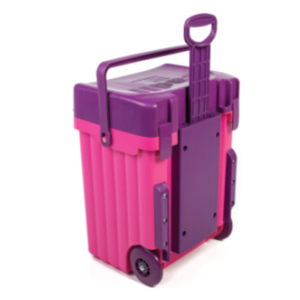 CADII C31 PINK PURPLE