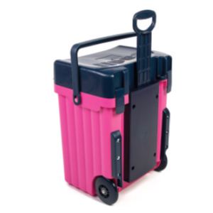 CADII C36 PINK NAVY
