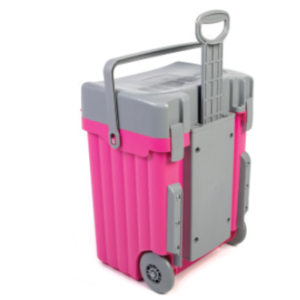 CADII C37 PINK GREY