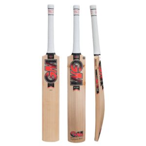GM CRICKET BAT RAYDON